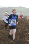 Click on thumbnail for larger photo