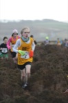 Click on thumbnail for larger photo