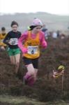 Click on thumbnail for larger photo