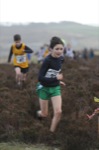 Click on thumbnail for larger photo