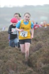Click on thumbnail for larger photo