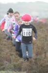 Click on thumbnail for larger photo