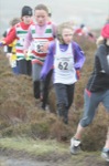 Click on thumbnail for larger photo