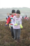 Click on thumbnail for larger photo