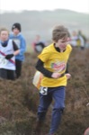 Click on thumbnail for larger photo