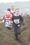 Click on thumbnail for larger photo