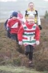Click on thumbnail for larger photo