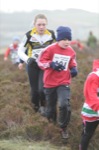 Click on thumbnail for larger photo