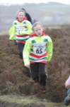 Click on thumbnail for larger photo