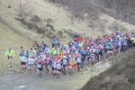 Click on thumbnail for larger photo