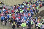 Click on thumbnail for larger photo