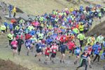 Click on thumbnail for larger photo