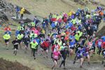 Click on thumbnail for larger photo