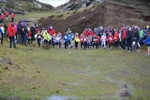 Click on thumbnail for larger photo