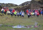 Click on thumbnail for larger photo