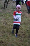 Click on thumbnail for larger photo