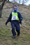 Click on thumbnail for larger photo