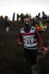 Click on thumbnail for larger photo