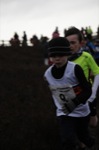 Click on thumbnail for larger photo