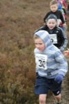 Click on thumbnail for larger photo