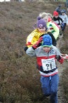 Click on thumbnail for larger photo