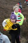 Click on thumbnail for larger photo