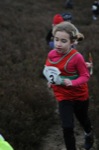 Click on thumbnail for larger photo