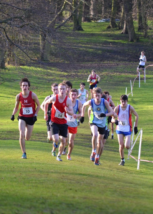 Photo DSC_7912.JPG copyright &copy; 2013 Dave Woodhead