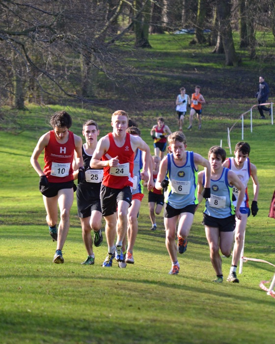 Photo DSC_7913.JPG copyright &copy; 2013 Dave Woodhead