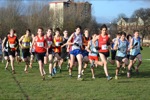 Click on thumbnail for larger photo