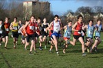 Click on thumbnail for larger photo
