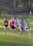 Click on thumbnail for larger photo