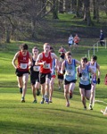 Click on thumbnail for larger photo