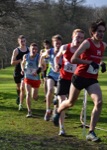 Click on thumbnail for larger photo