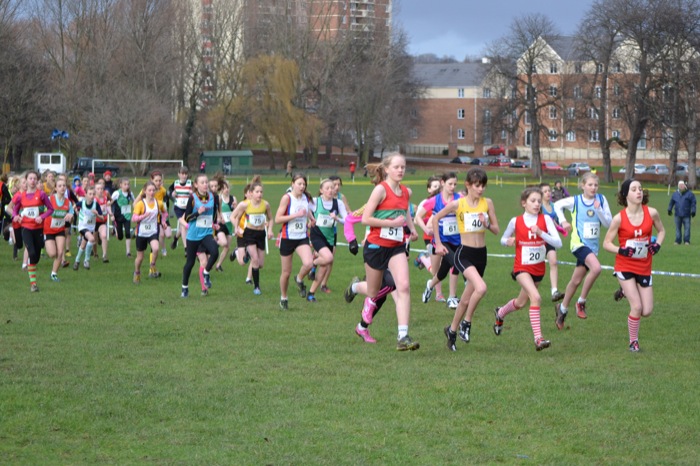 Photo DSC_7205.JPG copyright &copy; 2013 Dave Woodhead