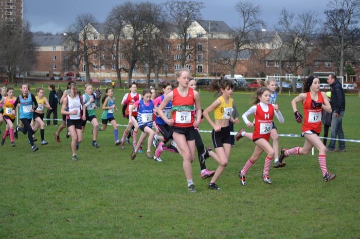 Photo DSC_7206.JPG copyright &copy; 2013 Dave Woodhead