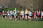 Click on thumbnail for larger photo