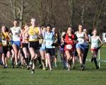 Click on thumbnail for larger photo