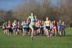 Click on thumbnail for larger photo