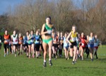 Click on thumbnail for larger photo