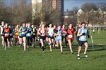 Click on thumbnail for larger photo