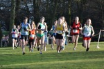 Click on thumbnail for larger photo