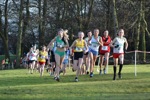 Click on thumbnail for larger photo