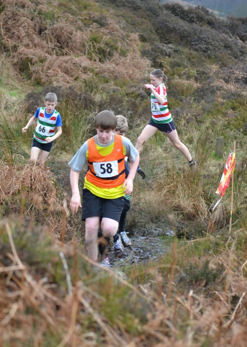 Photo DSC_1706.JPG copyright &copy; 2013 Woodentops