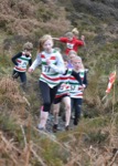 Click on thumbnail for larger photo