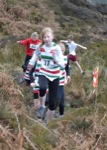 Click on thumbnail for larger photo