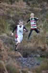 Click on thumbnail for larger photo