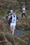 Click on thumbnail for larger photo