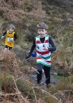 Click on thumbnail for larger photo