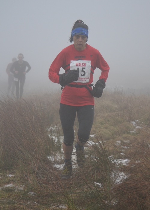 Photo DSC_0511.JPG copyright &copy; 2013 Dave Woodhead